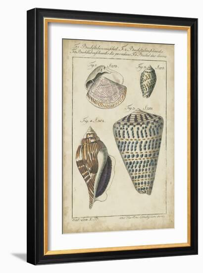 Vintage Shell Study II-Martini-Framed Art Print