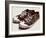 Vintage Sneakers Hand Drawn-tsaplia-Framed Art Print