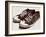 Vintage Sneakers Hand Drawn-tsaplia-Framed Art Print