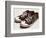 Vintage Sneakers Hand Drawn-tsaplia-Framed Premium Giclee Print