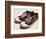 Vintage Sneakers Hand Drawn-tsaplia-Framed Premium Giclee Print