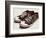 Vintage Sneakers Hand Drawn-tsaplia-Framed Premium Giclee Print