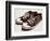 Vintage Sneakers Hand Drawn-tsaplia-Framed Premium Giclee Print