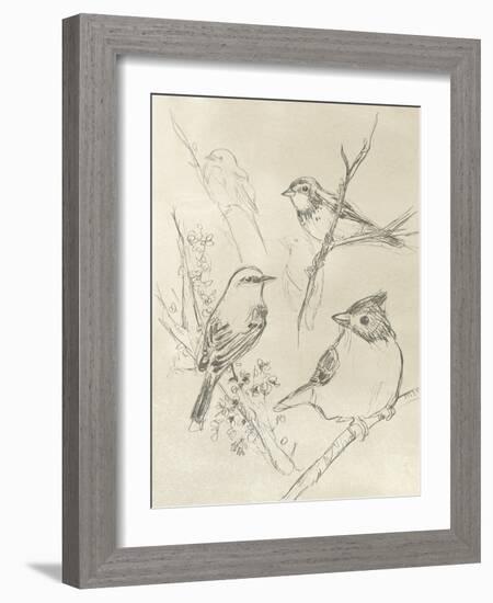 Vintage Songbird Sketch I-June Erica Vess-Framed Art Print