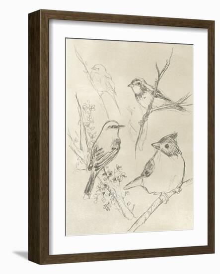 Vintage Songbird Sketch I-June Erica Vess-Framed Art Print