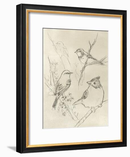 Vintage Songbird Sketch I-June Erica Vess-Framed Art Print