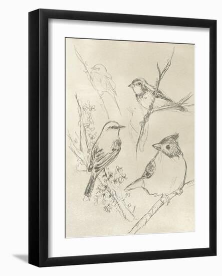 Vintage Songbird Sketch I-June Erica Vess-Framed Art Print