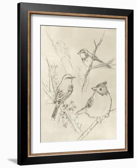 Vintage Songbird Sketch I-June Erica Vess-Framed Art Print