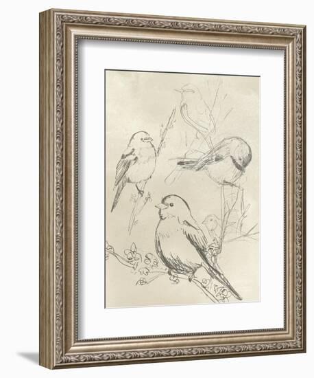 Vintage Songbird Sketch II-June Erica Vess-Framed Art Print