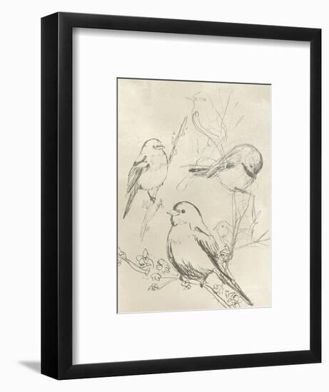 Vintage Songbird Sketch II-June Erica Vess-Framed Art Print