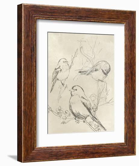 Vintage Songbird Sketch II-June Erica Vess-Framed Art Print