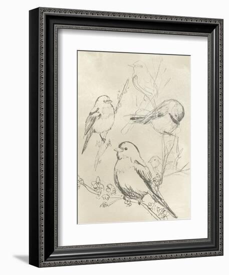 Vintage Songbird Sketch II-June Erica Vess-Framed Art Print