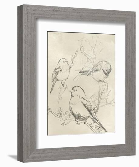 Vintage Songbird Sketch II-June Erica Vess-Framed Premium Giclee Print