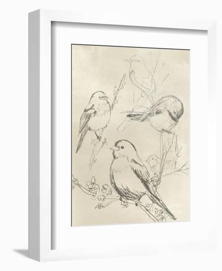 Vintage Songbird Sketch II-June Erica Vess-Framed Premium Giclee Print
