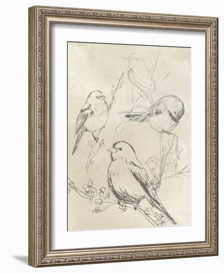 Vintage Songbird Sketch II-June Erica Vess-Framed Art Print