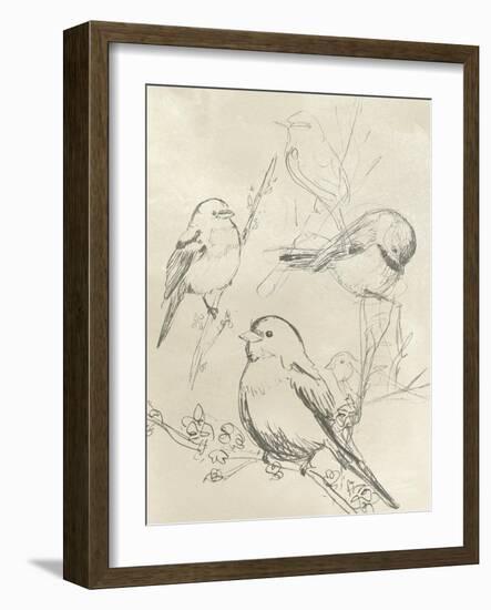 Vintage Songbird Sketch II-June Erica Vess-Framed Art Print