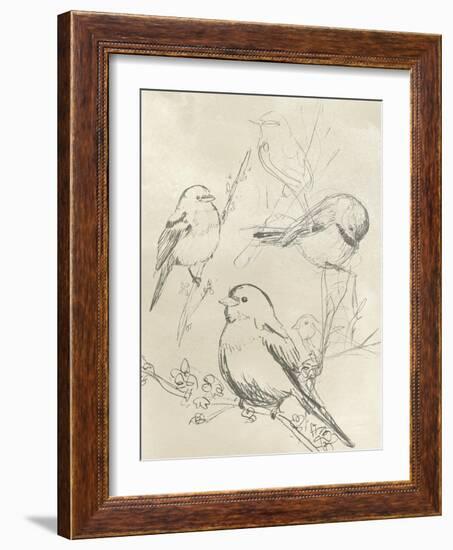 Vintage Songbird Sketch II-June Erica Vess-Framed Art Print