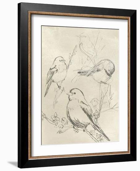 Vintage Songbird Sketch II-June Erica Vess-Framed Art Print
