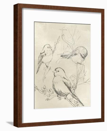 Vintage Songbird Sketch II-June Erica Vess-Framed Art Print