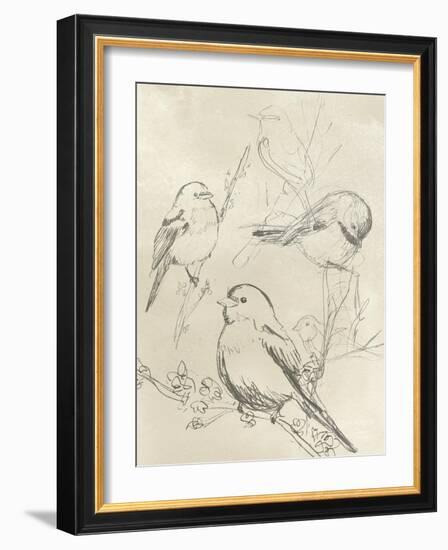 Vintage Songbird Sketch II-June Erica Vess-Framed Art Print