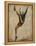 Vintage Sports V-John Butler-Framed Stretched Canvas