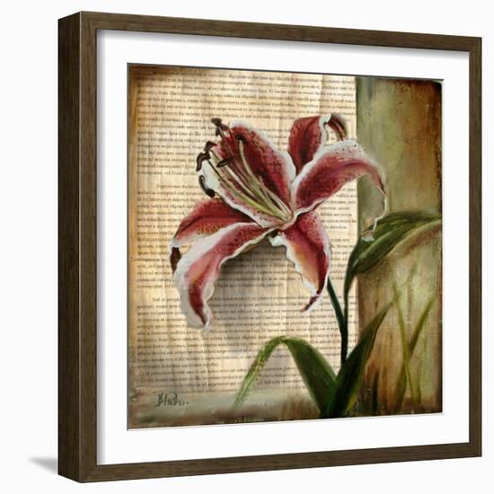 Vintage Studio I-Patricia Pinto-Framed Art Print