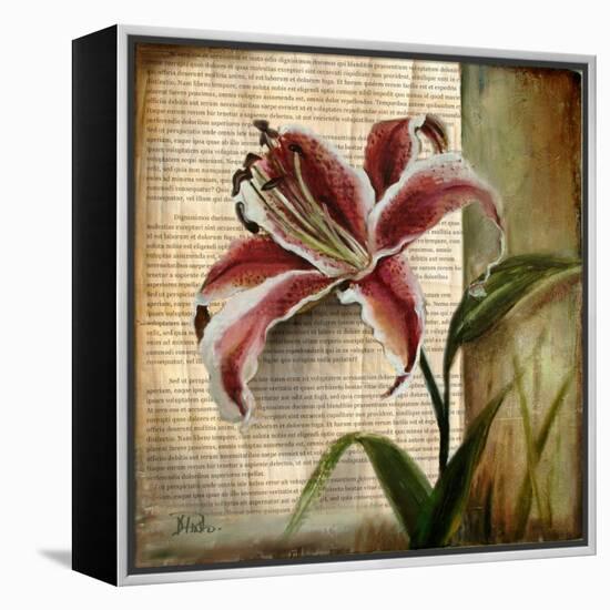 Vintage Studio I-Patricia Pinto-Framed Stretched Canvas