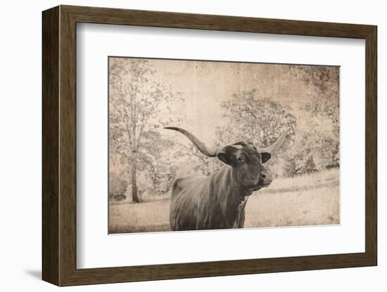 Vintage Style Farm Image with Longhorn Cow, Sepia Tone and Rural Country Outdoors-cctm-Framed Photographic Print