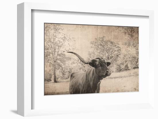 Vintage Style Farm Image with Longhorn Cow, Sepia Tone and Rural Country Outdoors-cctm-Framed Premium Photographic Print