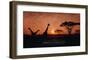 Vintage Sunset with Giraffes in Serengeti National Park, Africa-Take Me Away-Framed Art Print