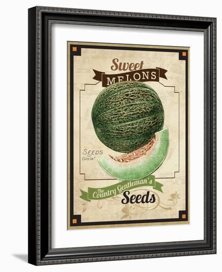 Vintage Sweet Melon Seed Packet-null-Framed Giclee Print