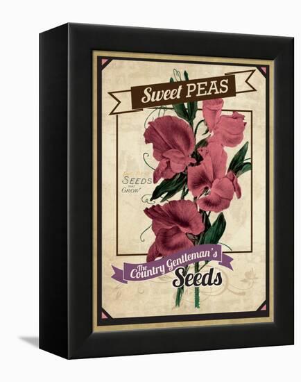 Vintage Sweet Peas Packet-null-Framed Premier Image Canvas