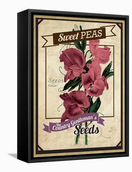 Vintage Sweet Peas Packet-null-Framed Premier Image Canvas