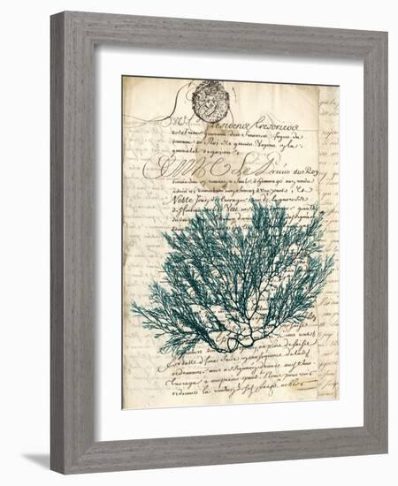 Vintage Teal Seaweed I-Vision Studio-Framed Art Print
