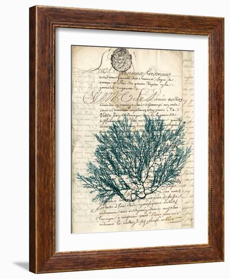 Vintage Teal Seaweed I-Vision Studio-Framed Art Print