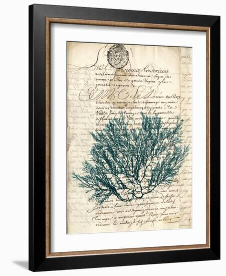 Vintage Teal Seaweed I-Vision Studio-Framed Art Print