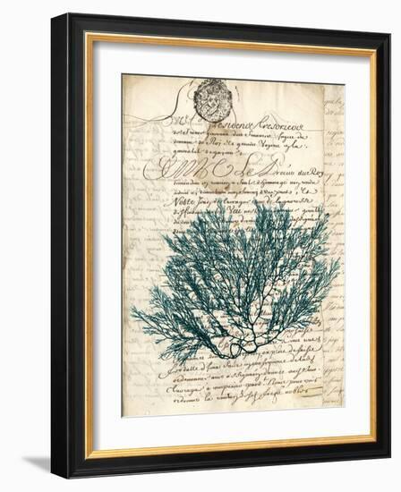 Vintage Teal Seaweed I-Vision Studio-Framed Art Print