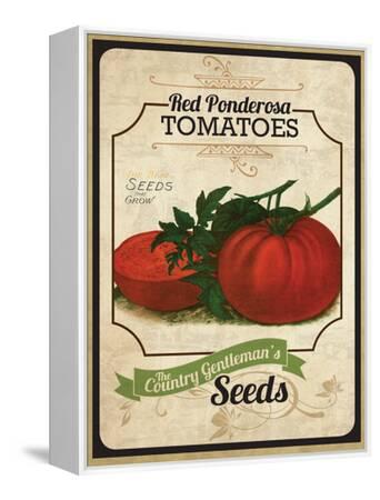 TOMATO 印刷物セット Vintage Tomato Seed Packet' Giclee Print | Art.com