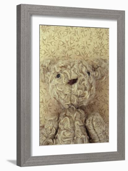 Vintage Toy Bear-Den Reader-Framed Photographic Print