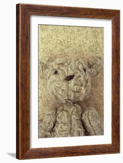 Vintage Toy Bear-Den Reader-Framed Photographic Print