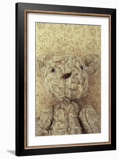 Vintage Toy Bear-Den Reader-Framed Photographic Print