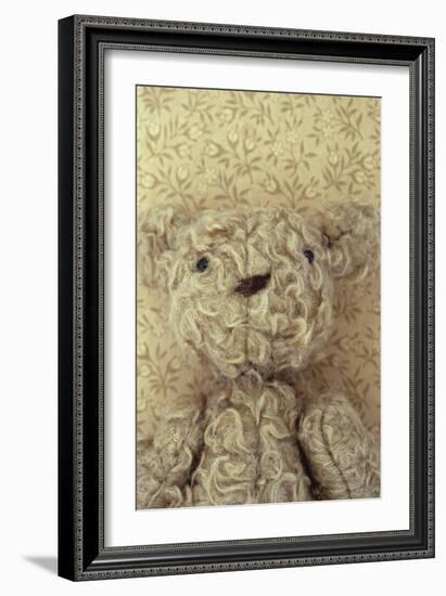 Vintage Toy Bear-Den Reader-Framed Photographic Print