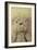 Vintage Toy Bear-Den Reader-Framed Photographic Print