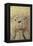 Vintage Toy Bear-Den Reader-Framed Premier Image Canvas