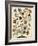 Vintage Tree of Life-Naomi McCavitt-Framed Art Print