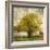 Vintage Tree-Anna Polanski-Framed Art Print