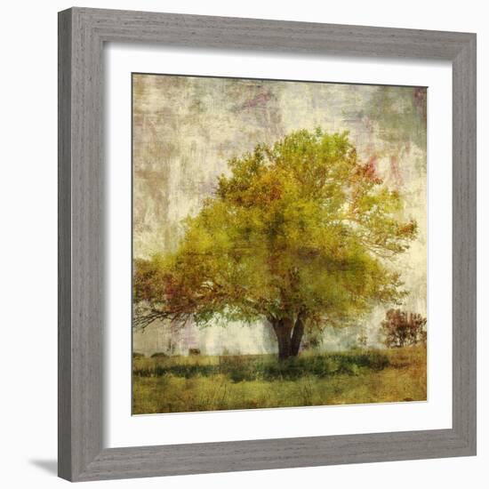 Vintage Tree-Anna Polanski-Framed Art Print