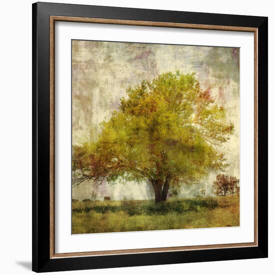 Vintage Tree-Anna Polanski-Framed Art Print