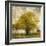 Vintage Tree-Anna Polanski-Framed Art Print