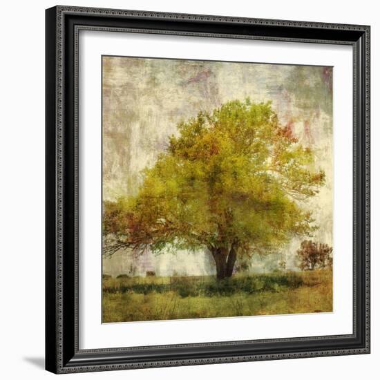 Vintage Tree-Anna Polanski-Framed Art Print